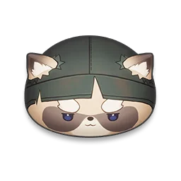 Ronin Raccoonie monsterling